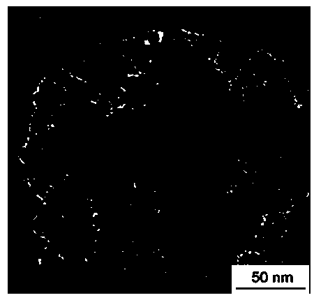 Method for degrading musk ketone under natural light by utilizing titanium dioxide/charcoal hybrid aerogel