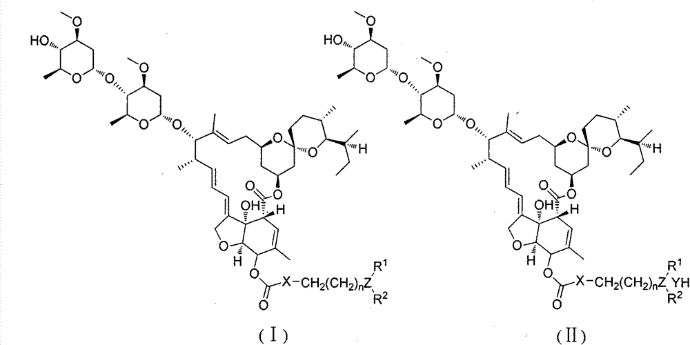 Preparation and application of macrolide compound