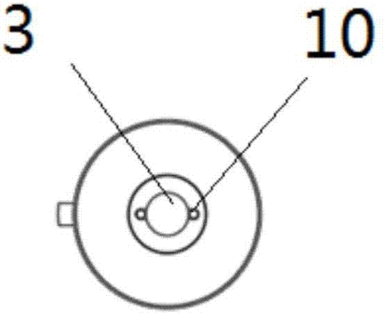 Ultrasonic endoscope and signal transmission device thereof