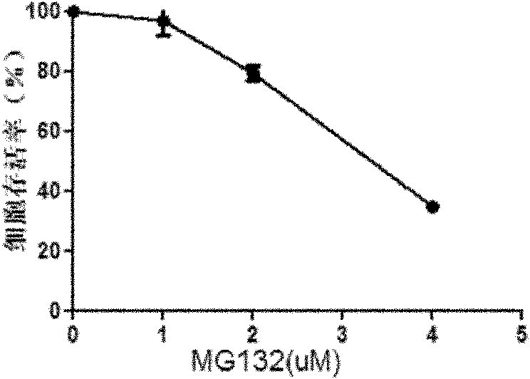 Application of proteasome inhibitor MG132 as esbiothrin insecticide synergist