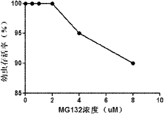 Application of proteasome inhibitor MG132 as esbiothrin insecticide synergist