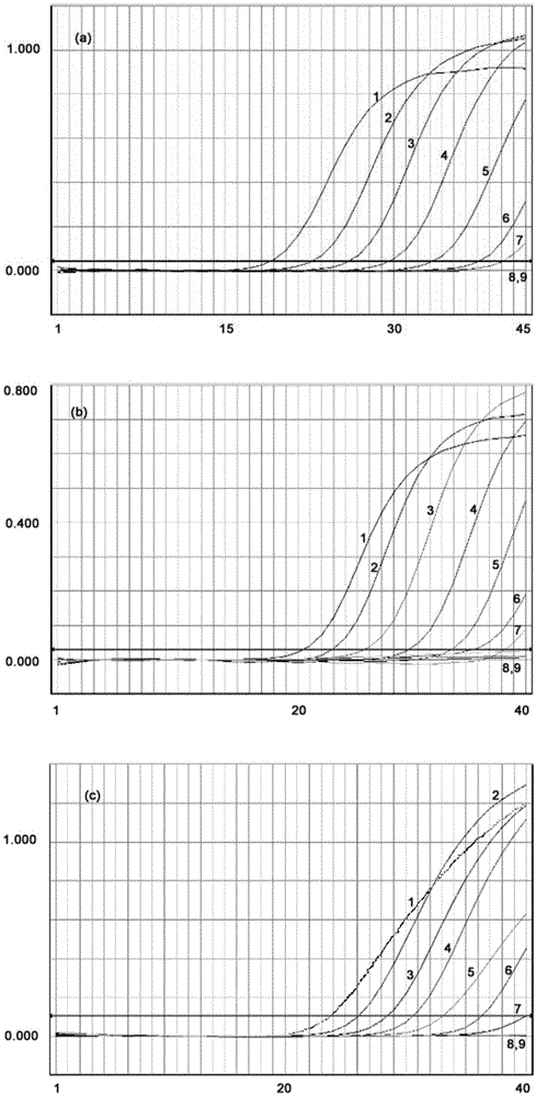 Compositions for the detection of drug resistance of staphylococcus aureus