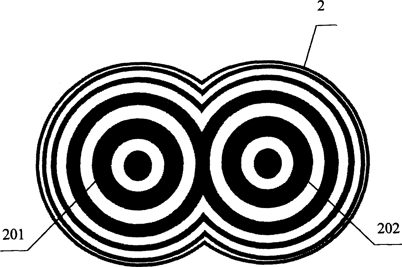 Device for recording off-axis X-ray hologram