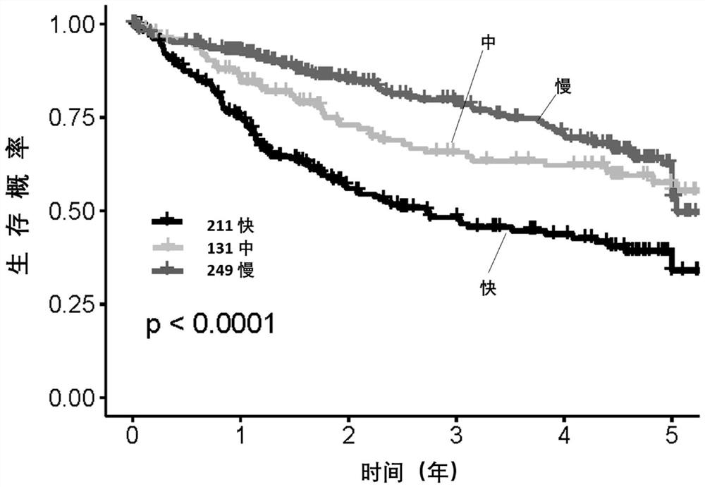 Primary hepatocellular carcinoma molecular typing and survival risk gene group, diagnosis product and application