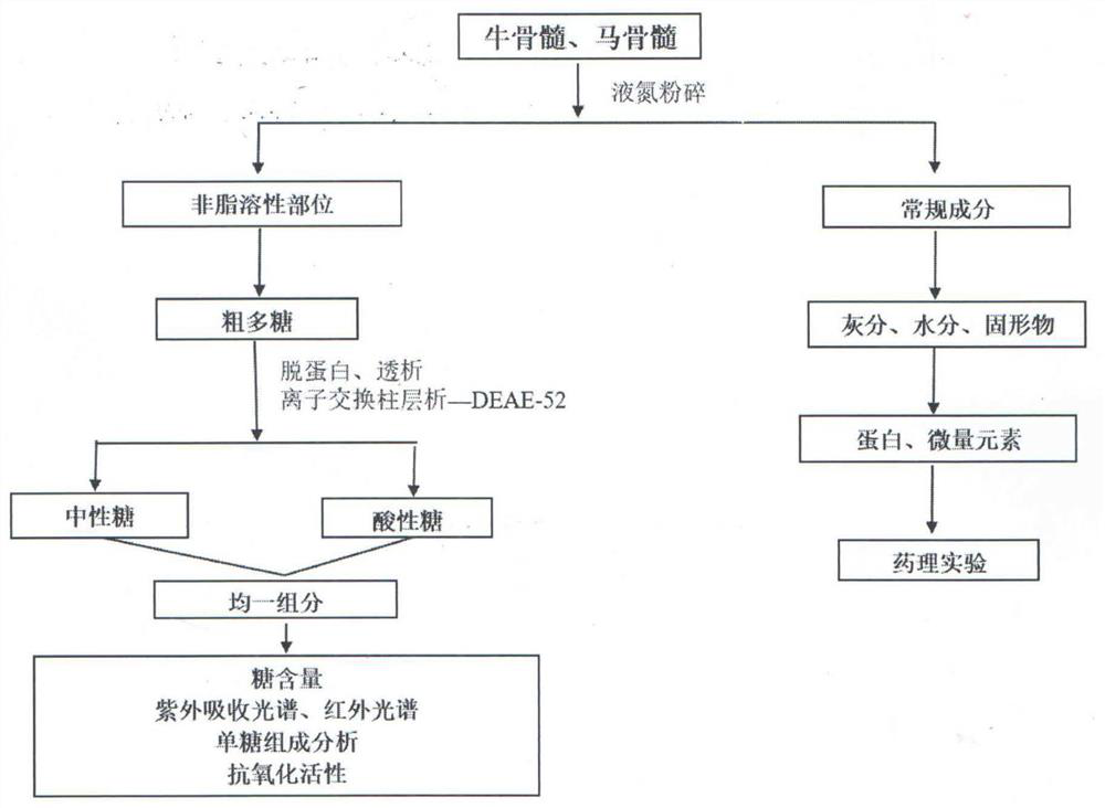 Preparation method and application of animal marrow effective part