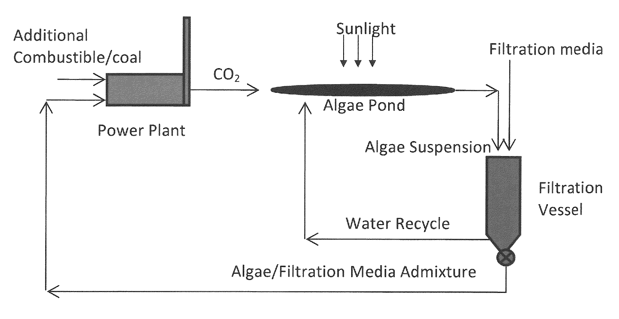 Methods of algae harvesting utilizing a filtering substance and uses therefor