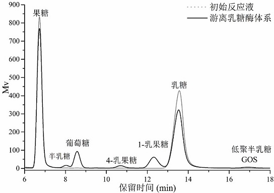 Immobilized lactase with hydrophobic property and method for preparing lactulose by applying immobilized lactase