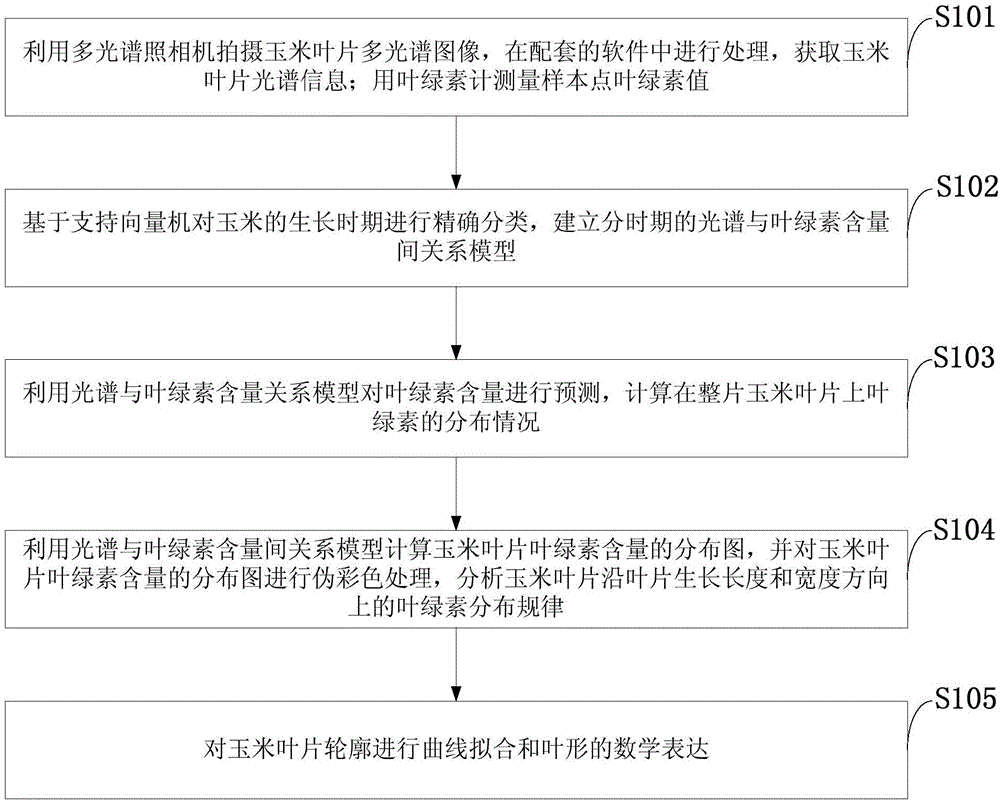 Corn leaf chlorophyll content and phenotype parameter measuring method based on SVM and regression analysis