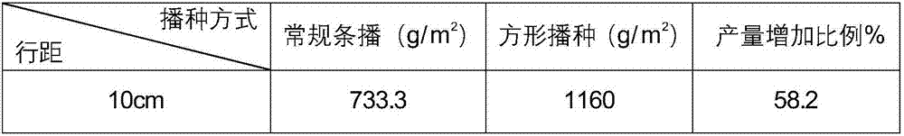 Square seeding method for preventing and removing weeds in alfalfa field