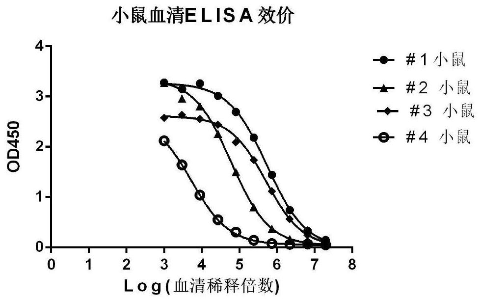 Anti-SARS-CoV-2 nucleocapsid protein monoclonal antibody as well as preparation method and application thereof