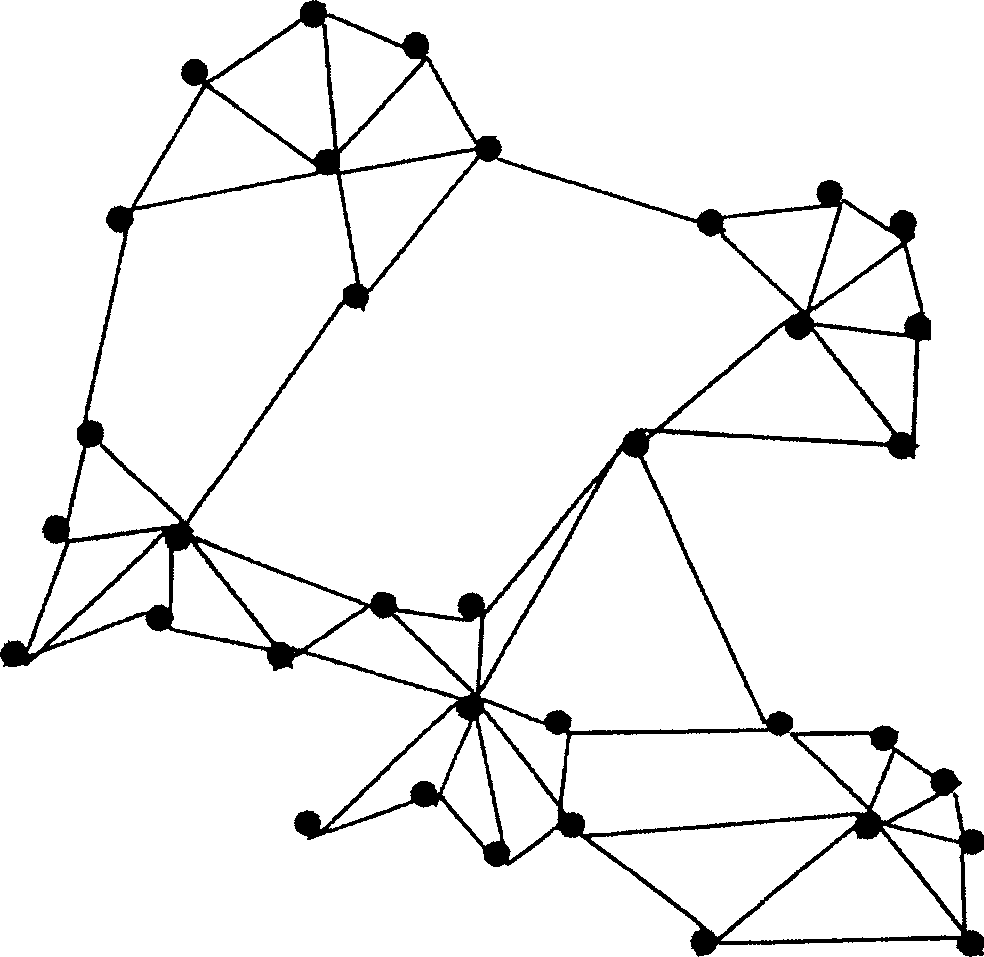 Method for building self-organized network skeleton structure