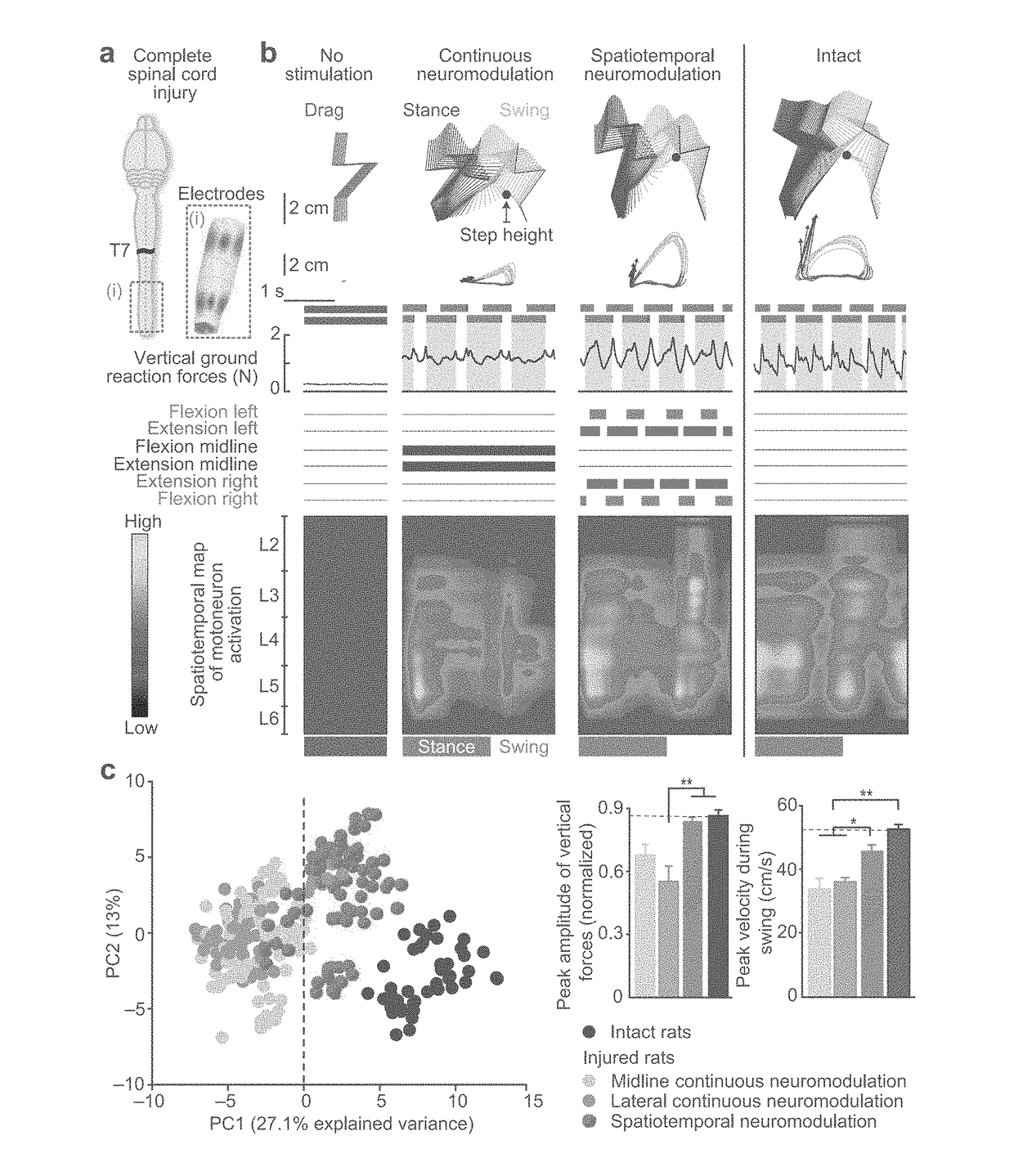 System for selective spatiotemporal stimulation of the spinal cord