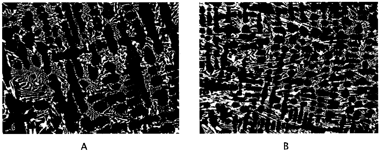 Amorphous inoculant for high chromium cast iron and its preparation method and use method