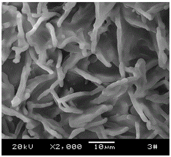 Lithium ferric manganese phosphate-tungsten disulfide nanometer lithium cell positive material and preparation method thereof