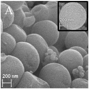 Electrochemical sensing method for rutin detection