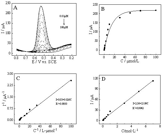 Electrochemical sensing method for rutin detection