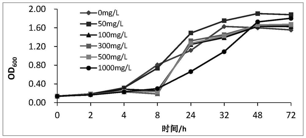 A β-lactam antibiotic degrading strain pgb1 and its application