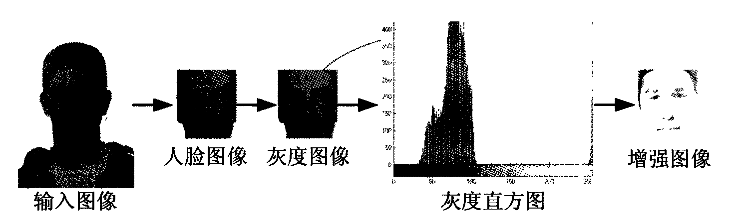 Accurate positioning method for human eye on the basis of gray gradation information