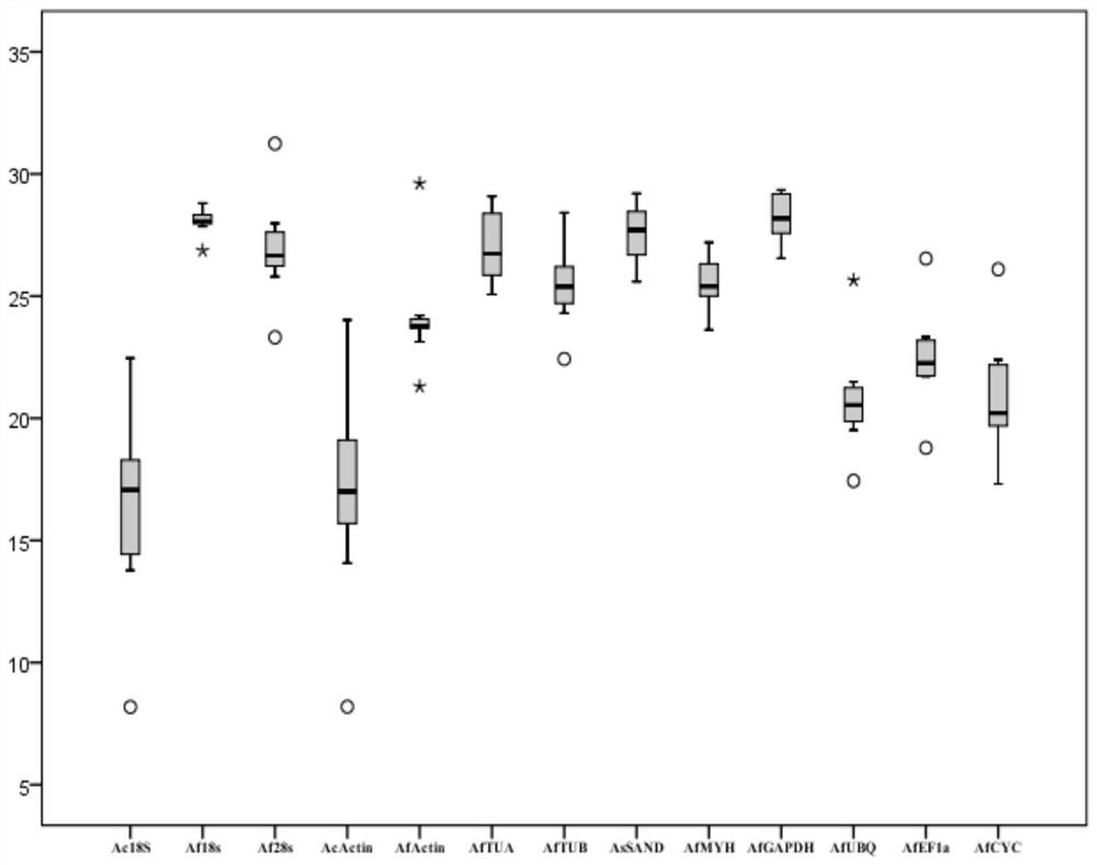 Allium fistulosum reference gene as well as screening method and application thereof