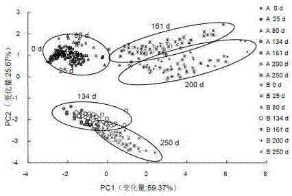 Nondestructive testing method for freezing storage period of pork based on electronic nose