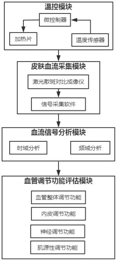 Non-invasive test system for peripheral vascular regulation function, and implementation method of non-invasive test system