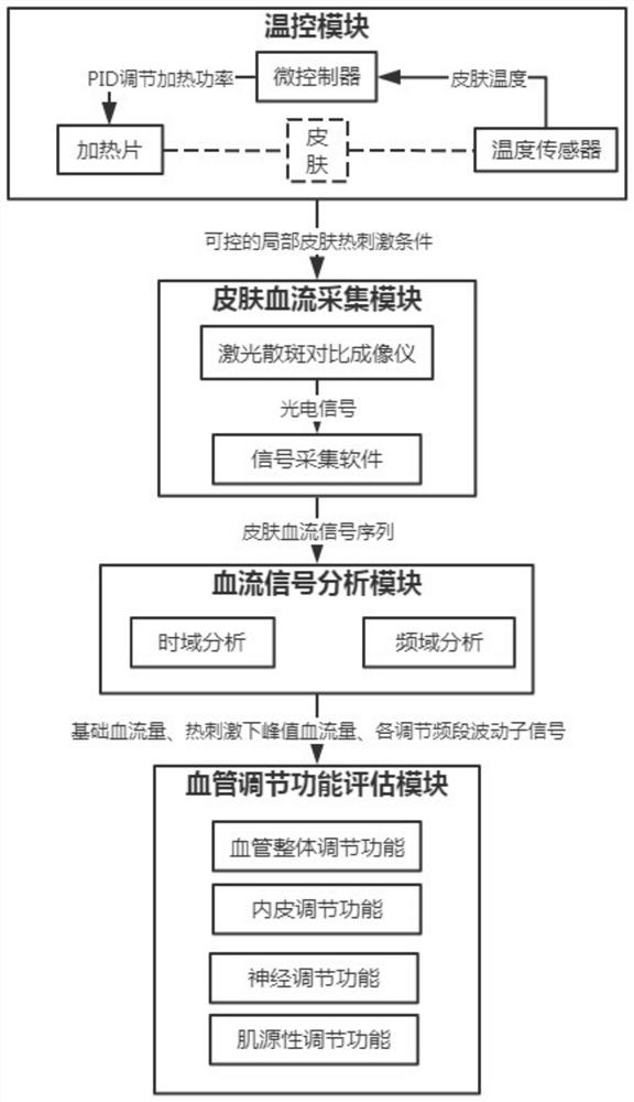 Non-invasive test system for peripheral vascular regulation function, and implementation method of non-invasive test system