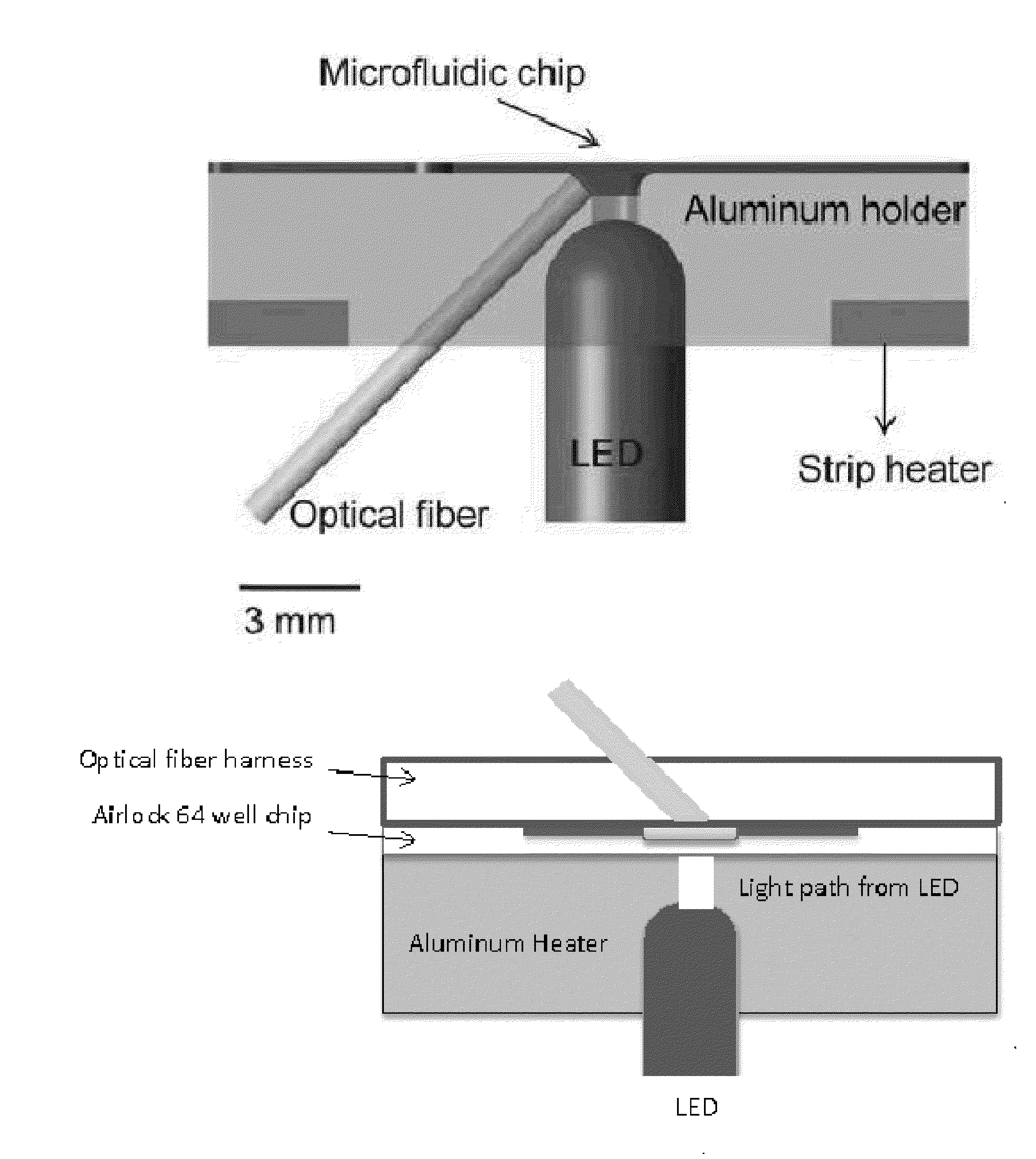 Hand-held wireless platform and optics for measurement of dna, rna, micrornas, and other markers of pathogens, genetic diseases, and cancer