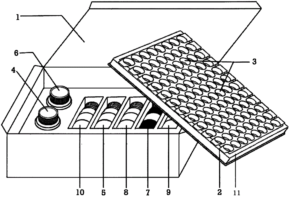 Respiratory syncytial virus detection kit and use method thereof