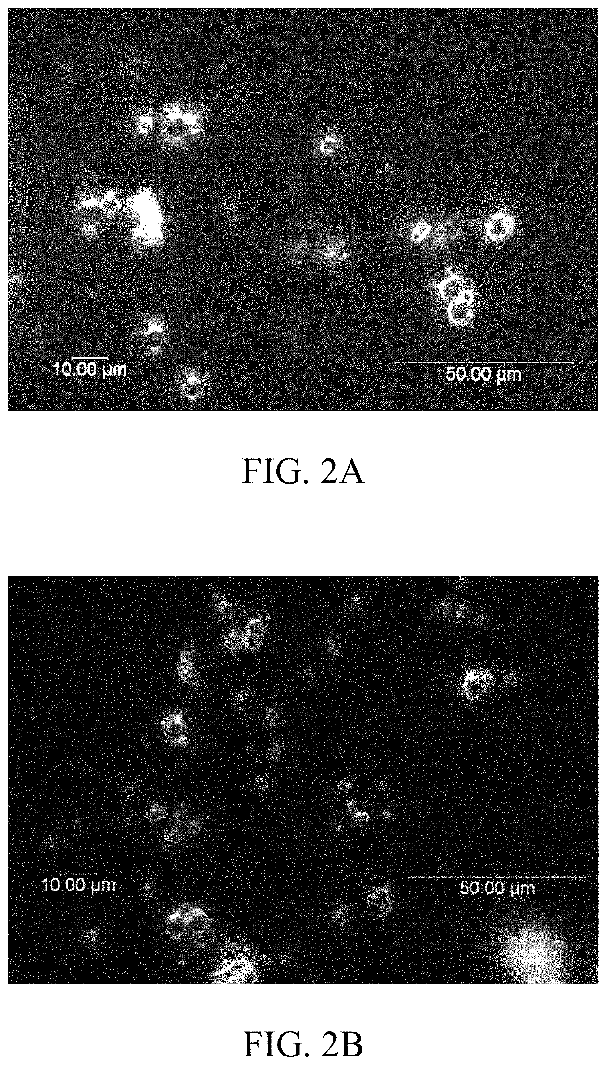 Method to improve characteristics of spray dried powders and granulated materials, and the products thereby produced