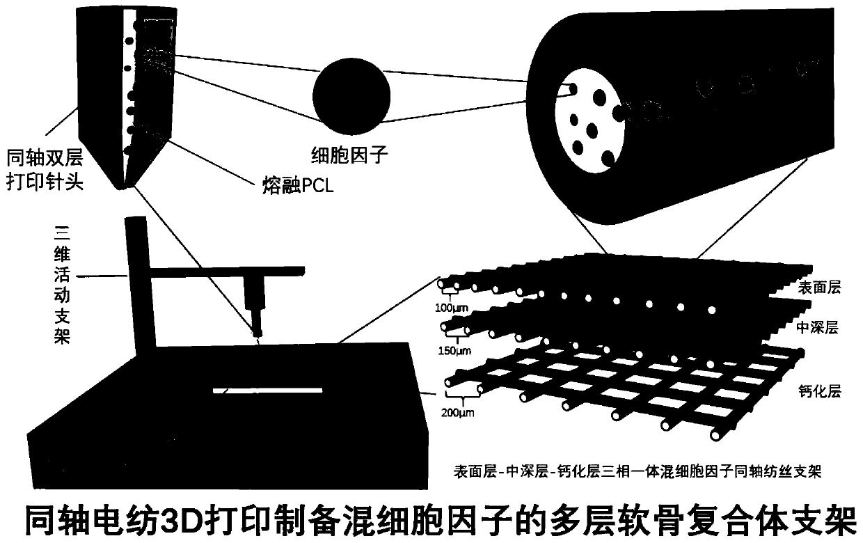 Preparation of coaxial electrospun-containing multilayered cartilage complex by electrospinning 3D printing