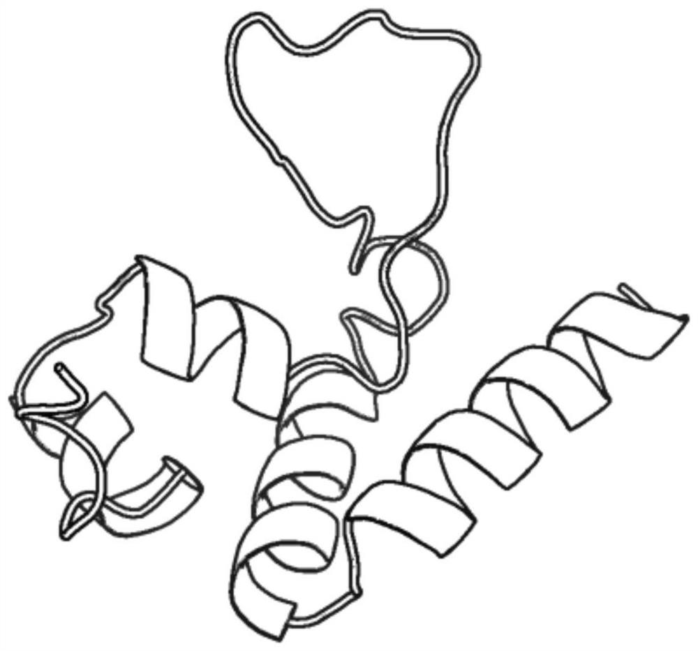 Multi-objective optimization protein structure prediction method based on residue contact diagram