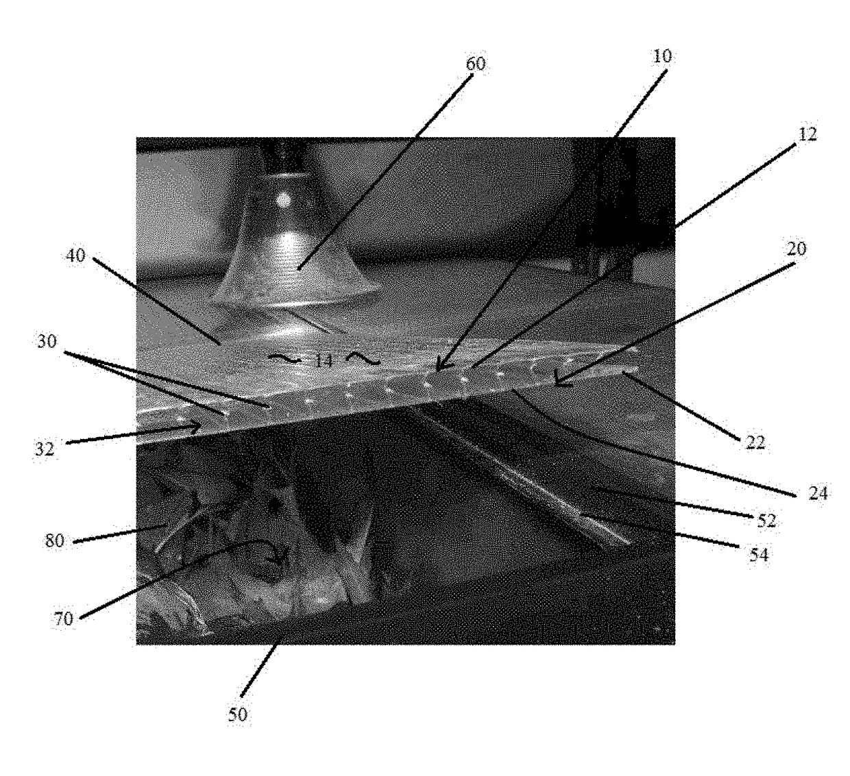 Enclosure lid useful with an aquarium