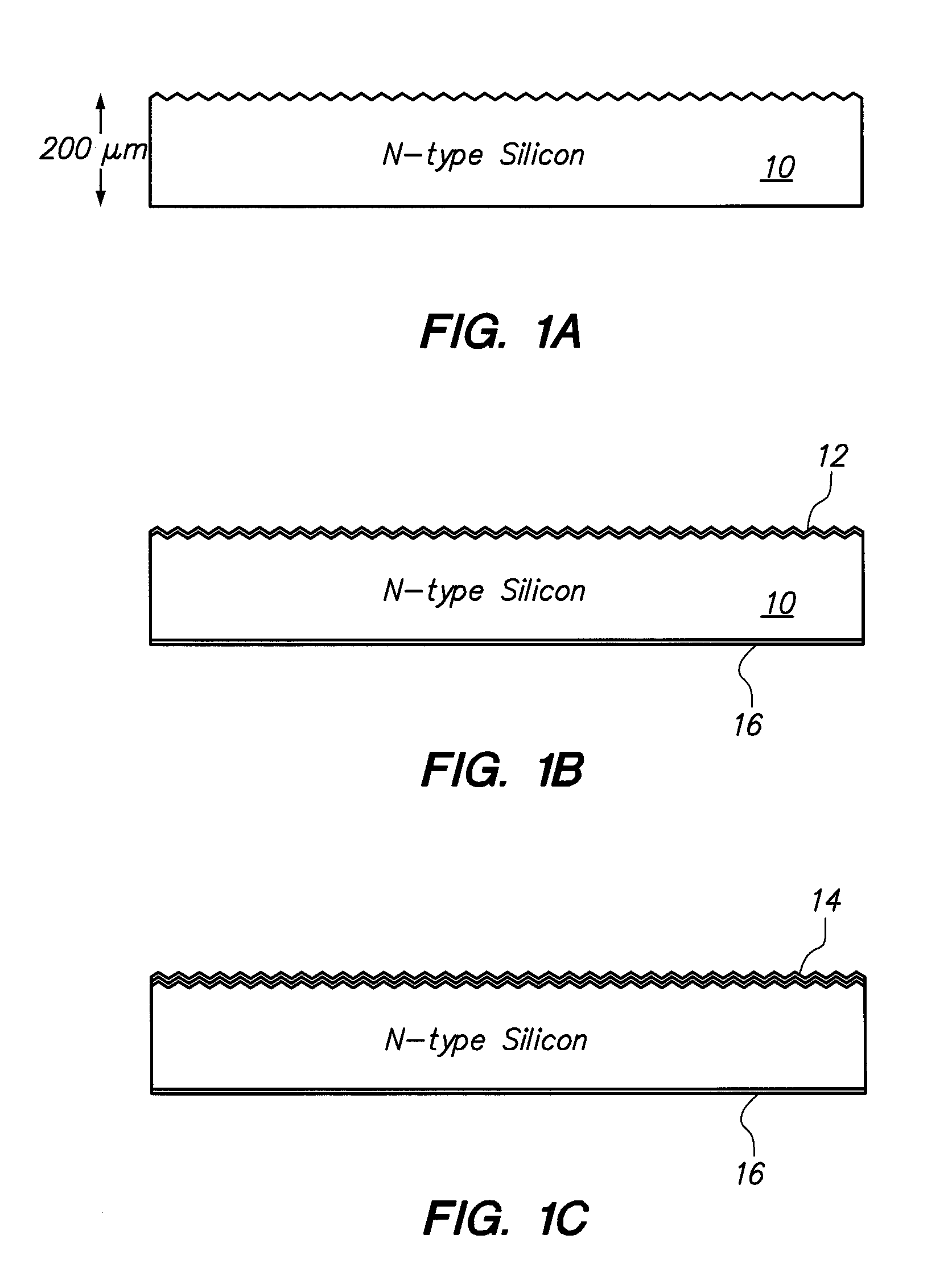 Solar cell having polymer heterojunction contacts