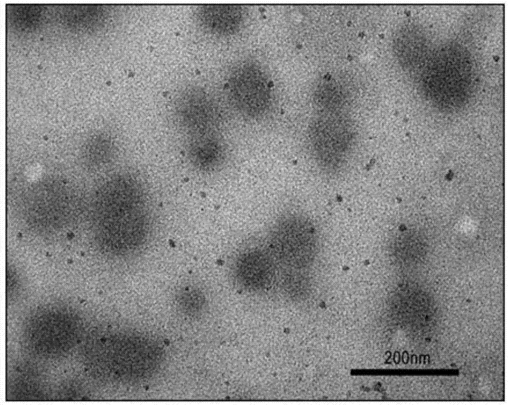 Fibroblast growth factor liposome lyophilized powder for preventing and treating alopecia, and preparation method thereof