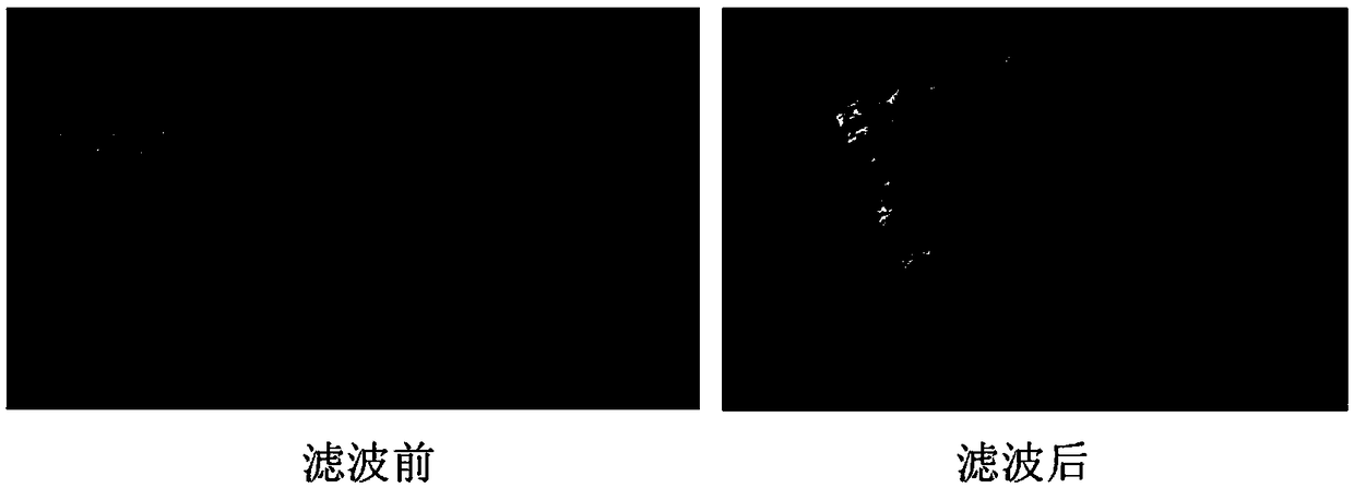 Binocular camera-based real-time step detection method