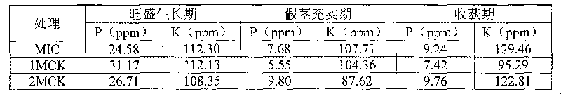 Microbial inoculums and preparation method thereof