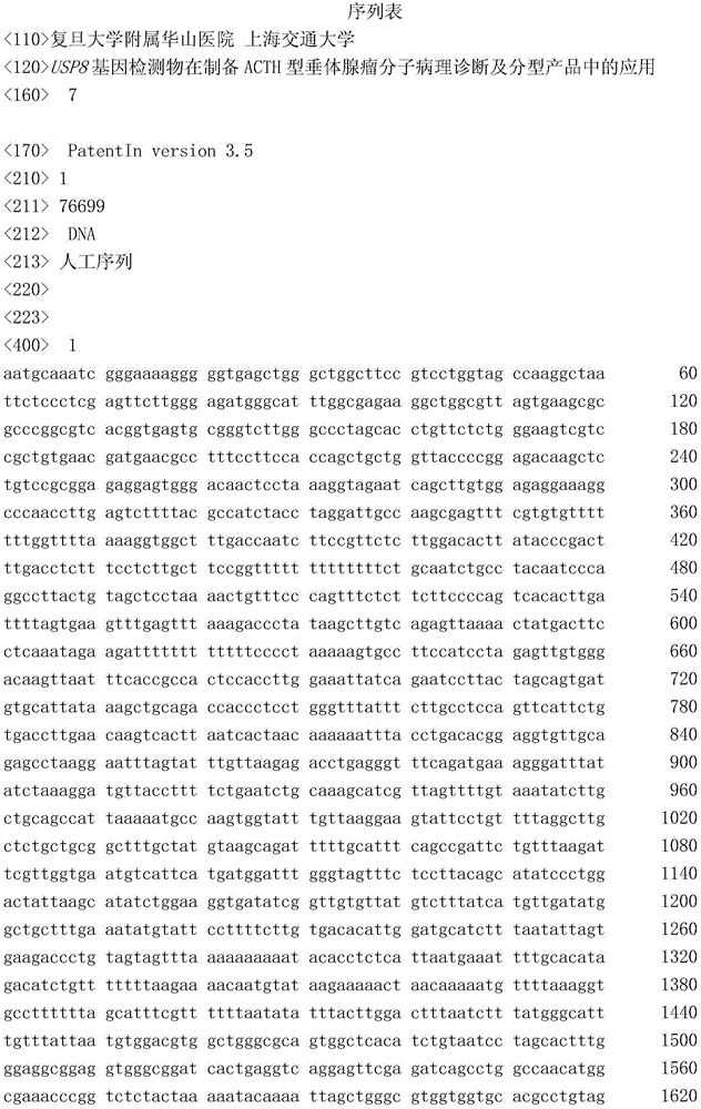 Application of USP8 gene detection object in preparation for ACTH-type pituitary adenoma molecular pathological diagnosis and typing products