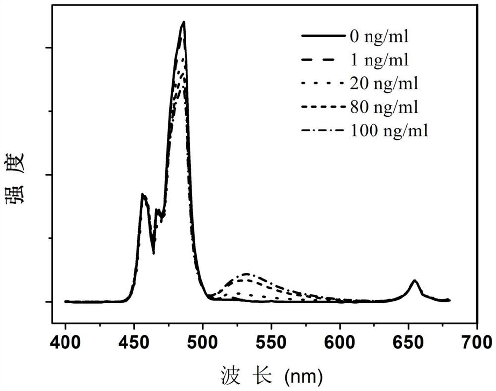 A solid-state up-conversion fluorescent probe and its preparation method and application