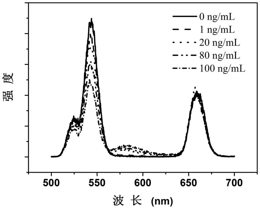 A solid-state up-conversion fluorescent probe and its preparation method and application