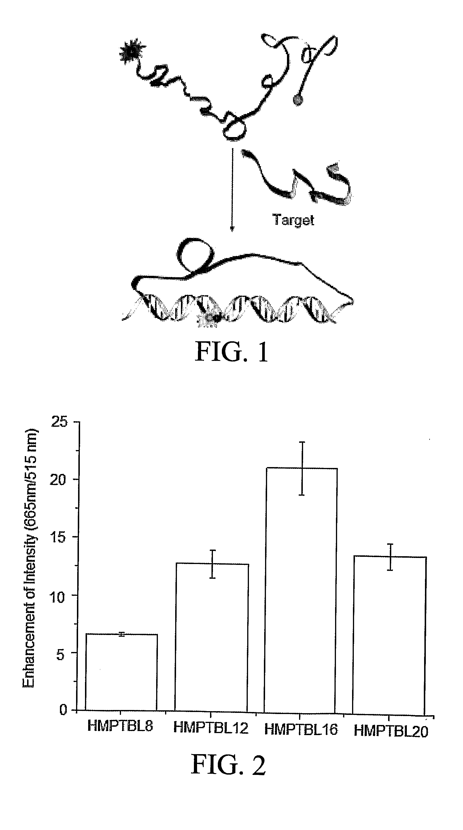 Hybrid Molecular Probe