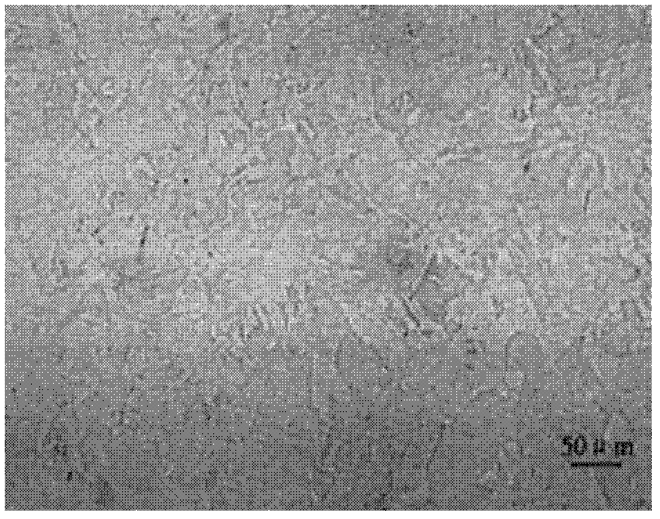 Manufacturing method of resonant rod, resonant rod and cavity filter