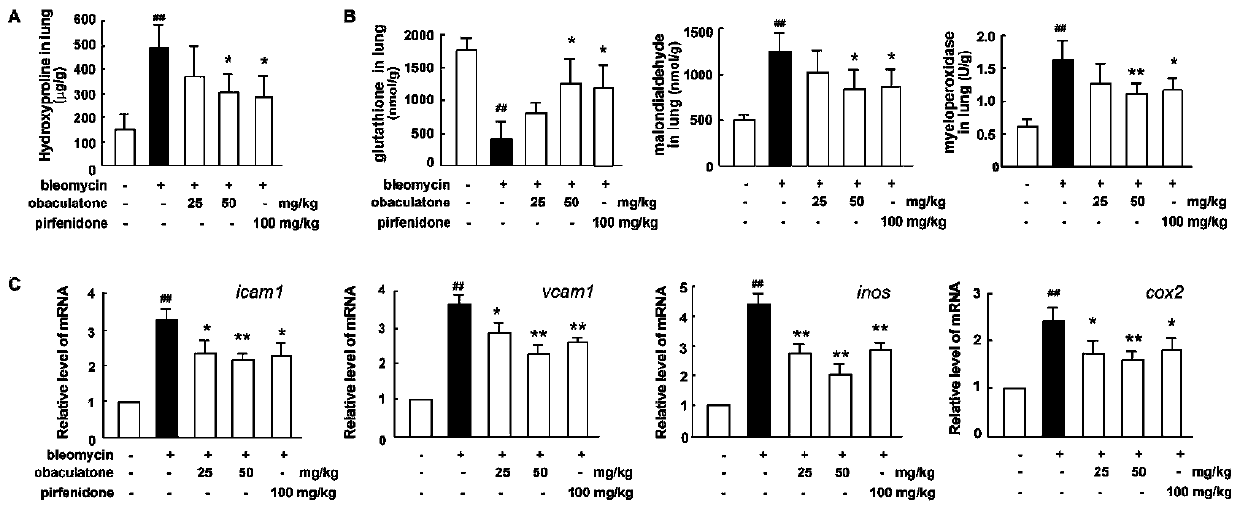 Application of phellodendron lactone in preparation of medicines for treating pulmonary fibrosis, chronic pneumonia and chronic respiratory diseases and medicines thereof