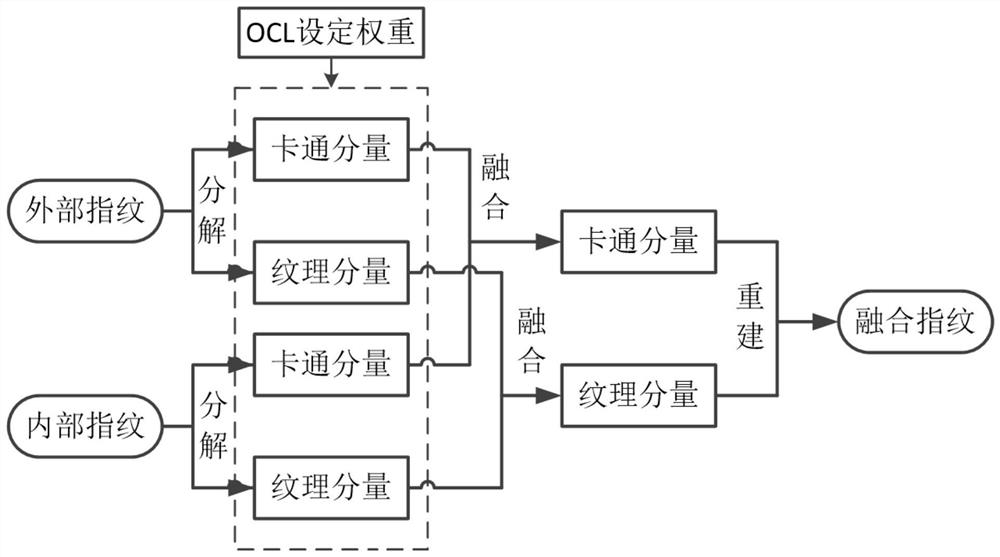 Multi-source fingerprint image fusion method based on convolution sparse representation