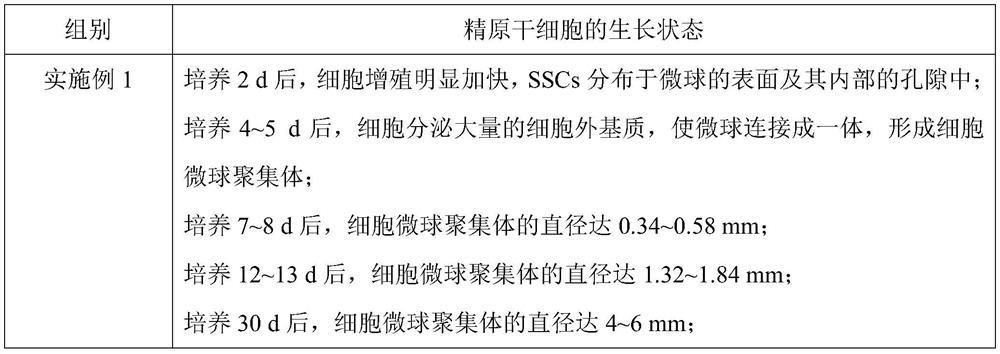 3D suspension culture method for in-vitro amplification of spermatogonial stem cells