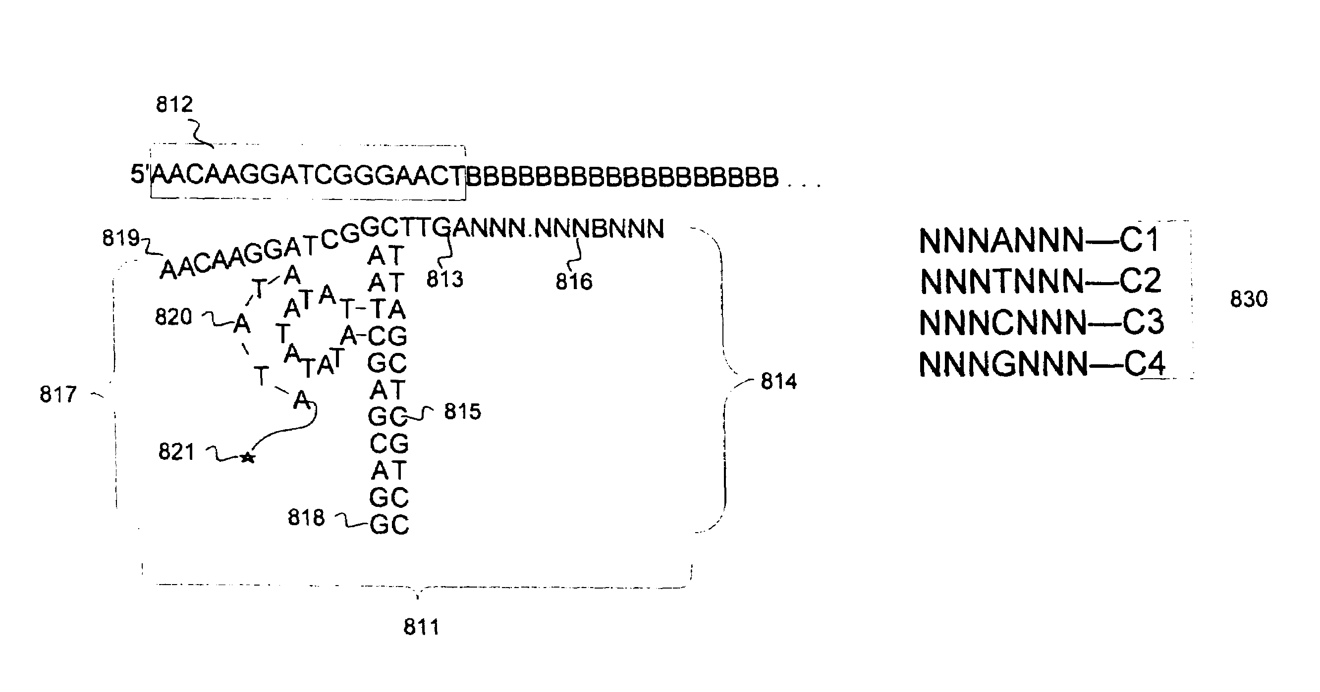 Methods and compositions for efficient base calling in sequencing reactions