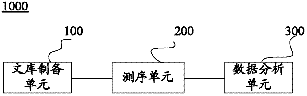 Construction method and application of genome-wide methylation high-throughput sequencing library and