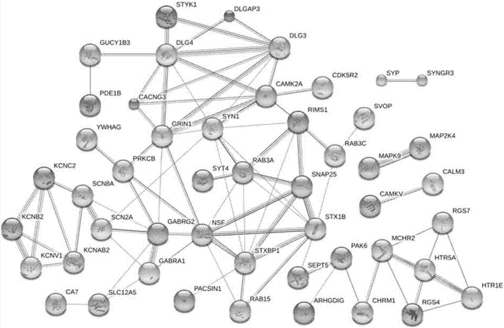 Application of lncRNA (long noncoding RNA) TUNAR to regulation of cerebral nervous system development