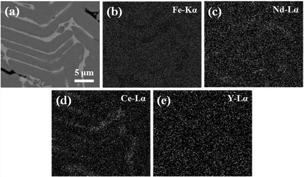 Y-containing rare-earth permanent magnet alloy stripe-casting flake