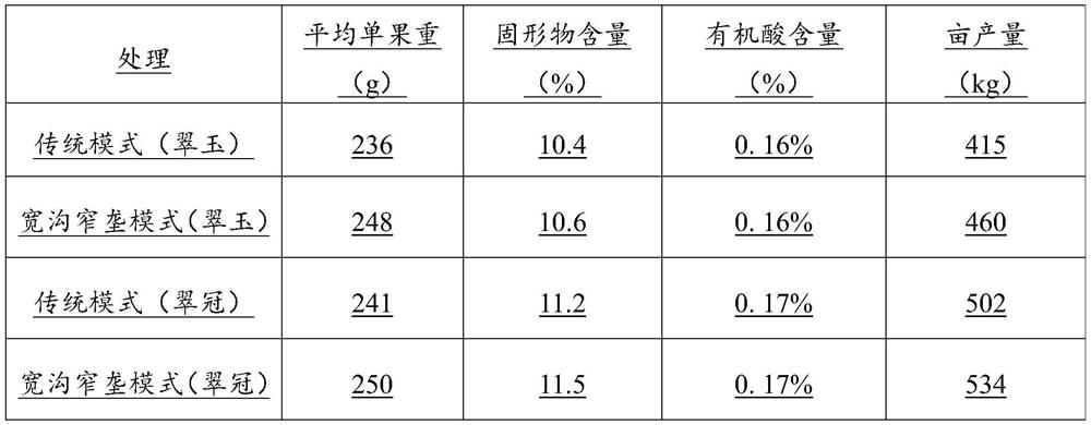 Earth ridge for planting young pear trees, and preparation method and application of earth ridge