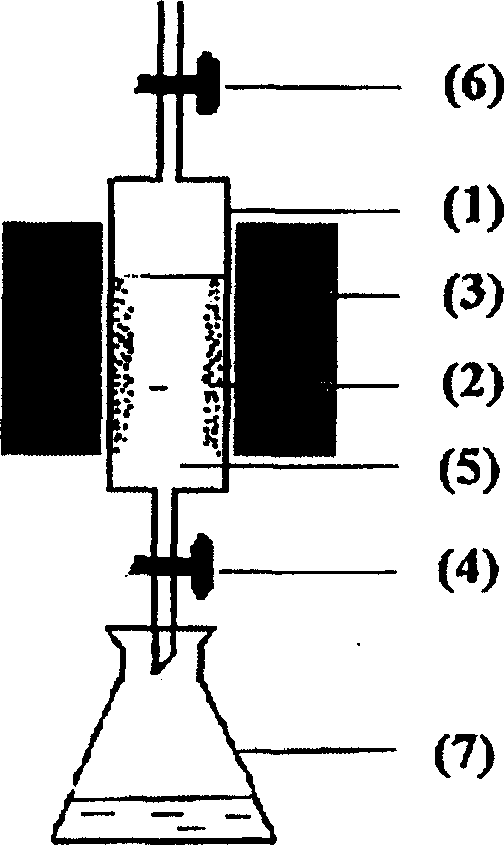 Immunization magnetic separation technology for purifying genetic engineering recombinant interferon